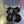 Load image into Gallery viewer, Carpenter Racing 2017+ GSXR-1000 Velocity Stacks