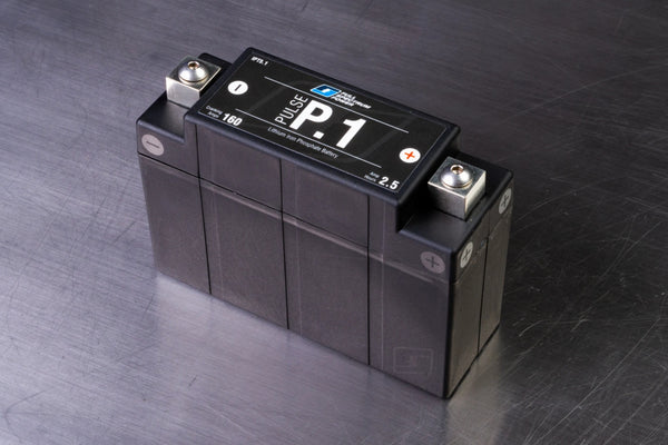 Full Spectrum Power P.1 Battery