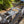 Load image into Gallery viewer, DOGWOOD RACING ZX14 FUEL CELL
