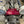Load image into Gallery viewer, STL super bike dial indicator kit 2017+ GSXR 1000

