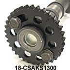 Cam Chains and adjustable sprockets